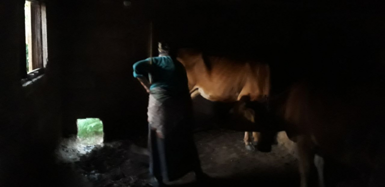 Karadeniz kadınının bitmeyen çilesi – Birlik Haber Ajansı