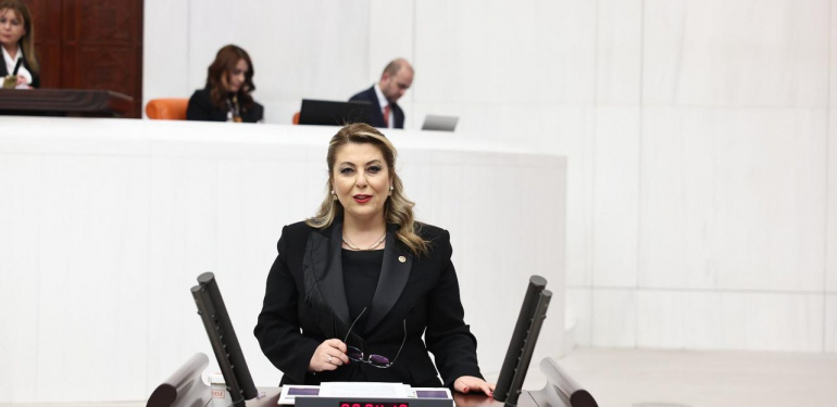 Elvan Işık Gezmiş Giresun’un ulaşım sorunlarını sordu – Birlik Haber Ajansı